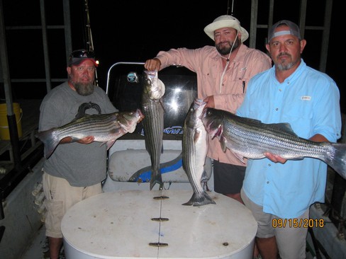 Nice Striped Bass